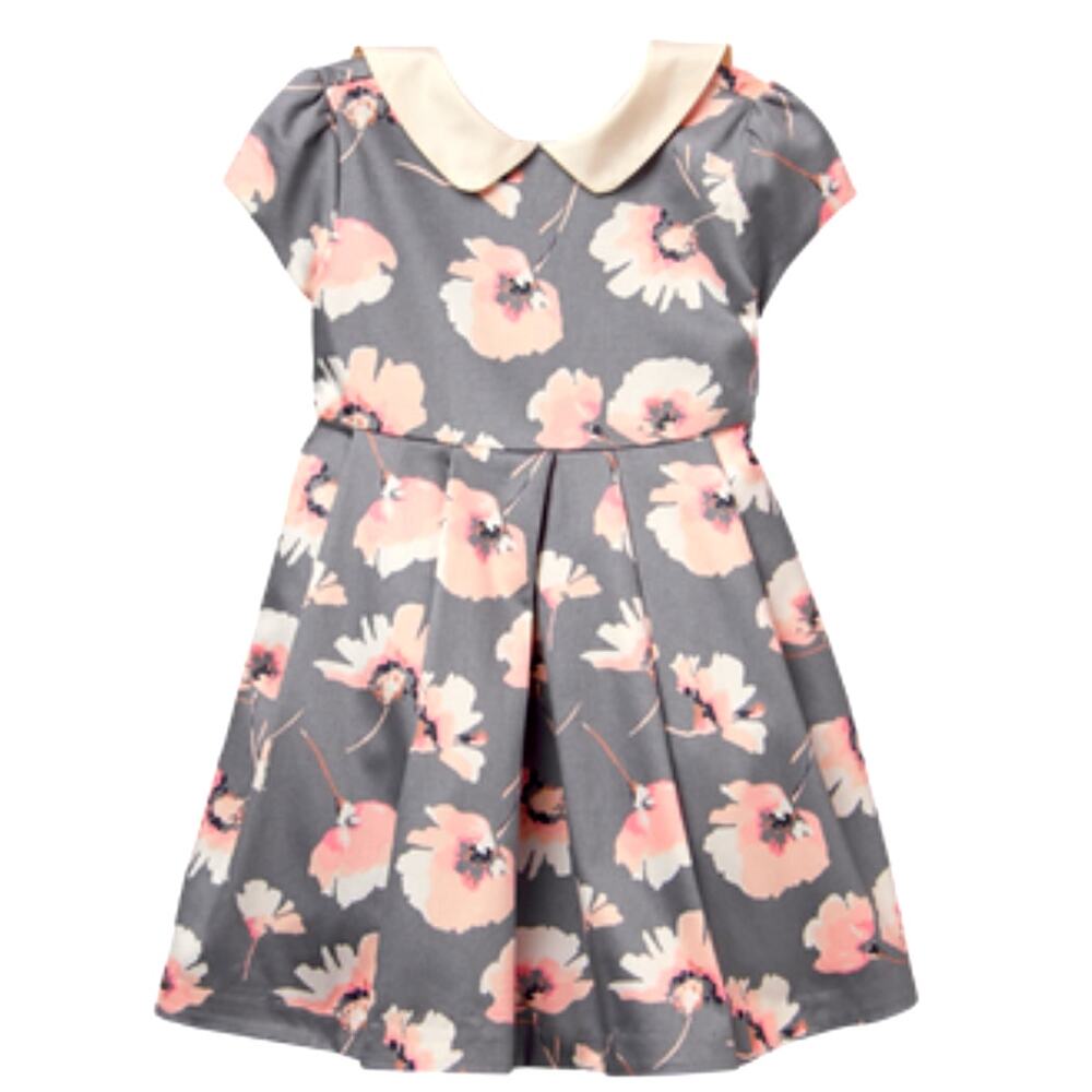 Janie & Jack Blush Castle Floral Dress Girls Size 3 Gray Pink Peter Pan Collar